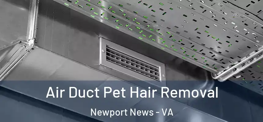 Air Duct Pet Hair Removal Newport News - VA