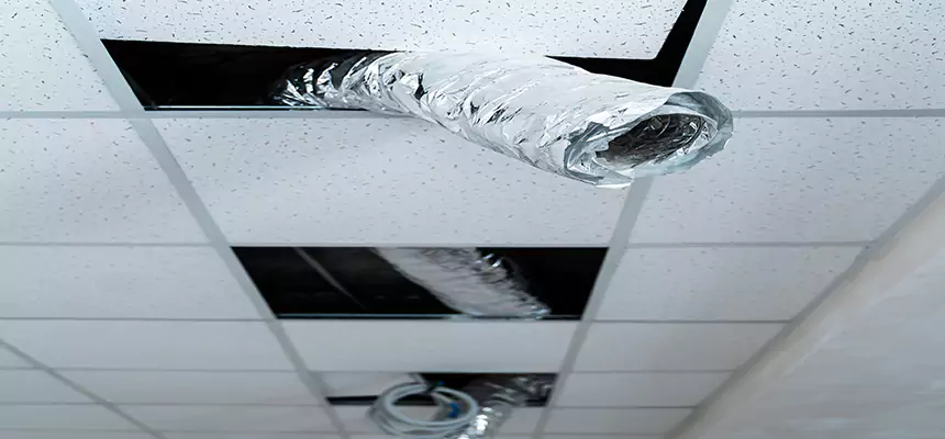 Affordable HVAC Sanitizing After Pest Removal in Newport News