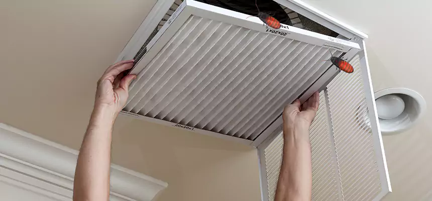 Our Insect Removal from Air Ducts Services in Newport News, VA