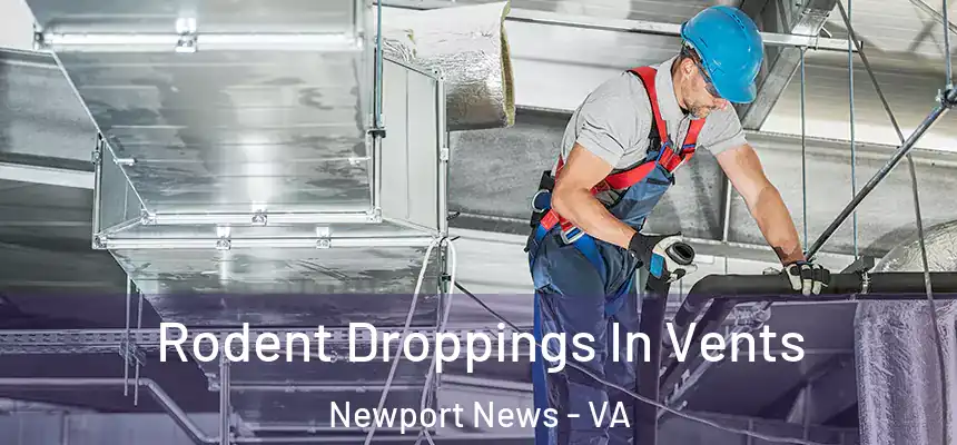 Rodent Droppings In Vents Newport News - VA