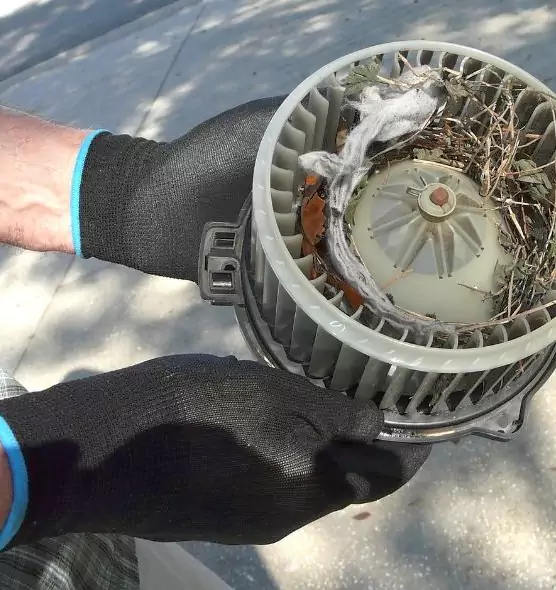 About Air Duct Rat Removal in Newport News, VA