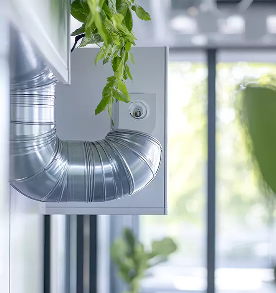 Professional Eco-Friendly Duct Cleaning Services in Newport News, VA