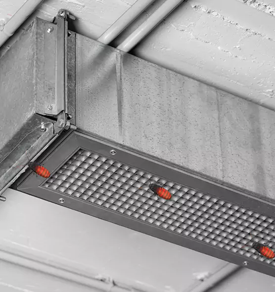 Affordable Insect Removal from Air Ducts in Newport News, VA