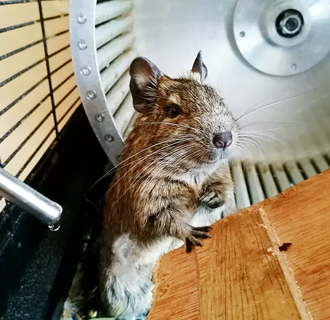 Why Homeowners & Businesses Trust Us Newport News, VA